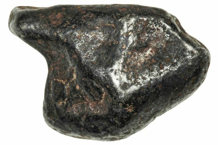 Agoudal Iron Meteorite ( g) - Morocco #303919